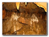 Florida-Caverns-State-Park-Marianna-FL-141