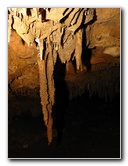 Florida-Caverns-State-Park-Marianna-FL-142