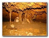 Florida-Caverns-State-Park-Marianna-FL-144