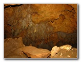 Florida-Caverns-State-Park-Marianna-FL-145