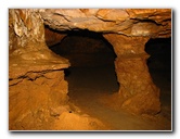 Florida-Caverns-State-Park-Marianna-FL-147