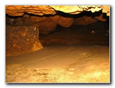 Florida-Caverns-State-Park-Marianna-FL-148