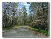 Florida-Caverns-State-Park-Marianna-FL-154