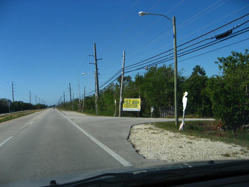 Florida-Keys-Wild-Bird-Center-Tavernier-FL-001