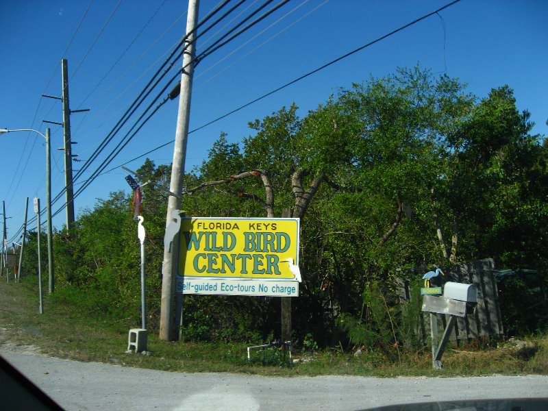 Florida-Keys-Wild-Bird-Center-Tavernier-FL-002