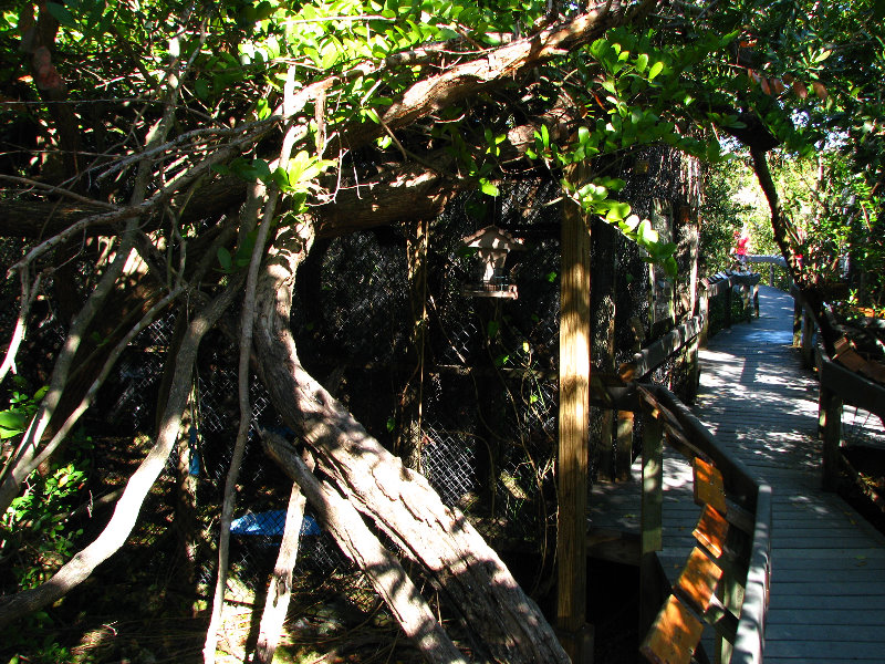 Florida-Keys-Wild-Bird-Center-Tavernier-FL-004