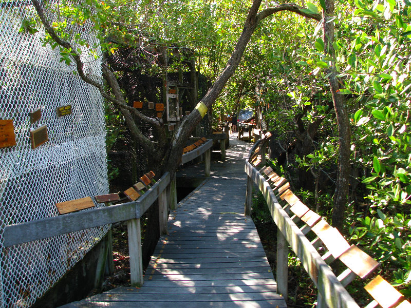 Florida-Keys-Wild-Bird-Center-Tavernier-FL-024