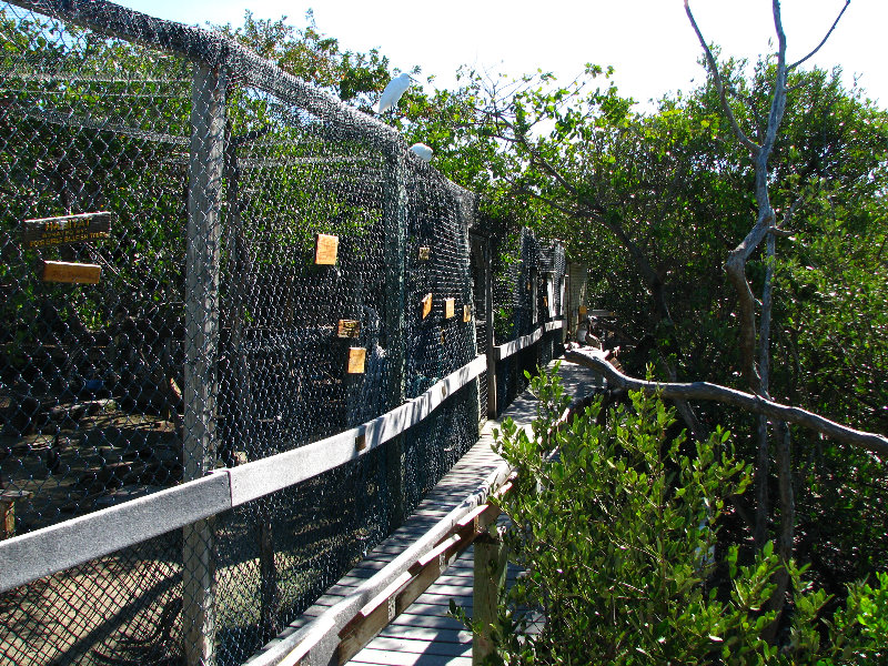 Florida-Keys-Wild-Bird-Center-Tavernier-FL-035