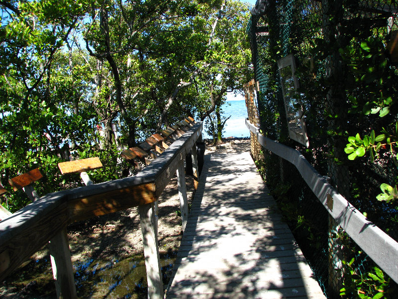 Florida-Keys-Wild-Bird-Center-Tavernier-FL-037