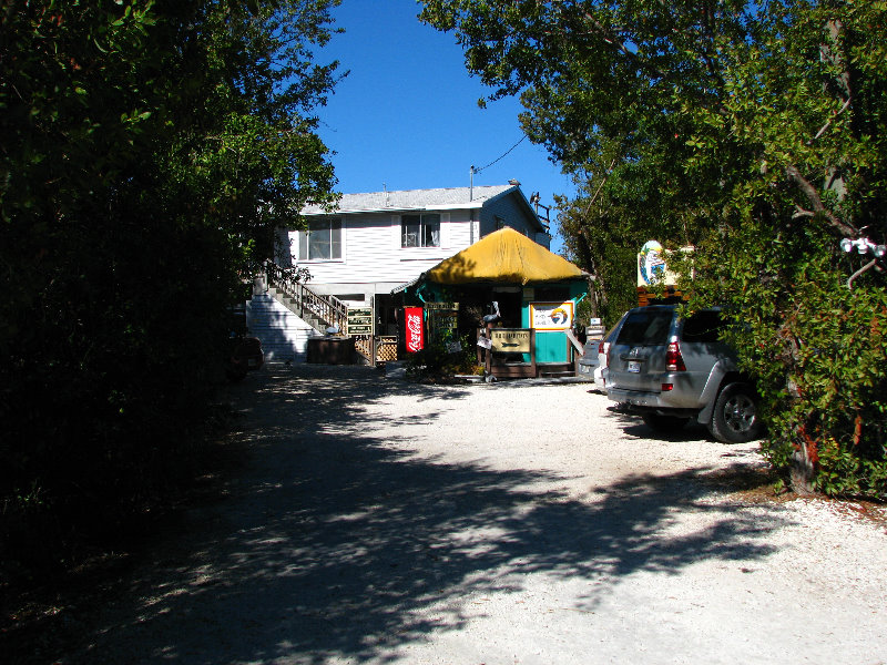 Florida-Keys-Wild-Bird-Center-Tavernier-FL-051