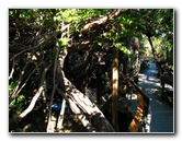 Florida-Keys-Wild-Bird-Center-Tavernier-FL-004