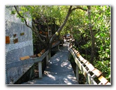 Florida-Keys-Wild-Bird-Center-Tavernier-FL-024