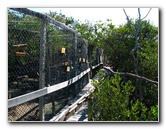 Florida-Keys-Wild-Bird-Center-Tavernier-FL-035