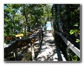 Florida-Keys-Wild-Bird-Center-Tavernier-FL-037