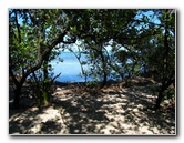 Florida-Keys-Wild-Bird-Center-Tavernier-FL-038