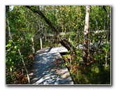 Florida-Keys-Wild-Bird-Center-Tavernier-FL-050