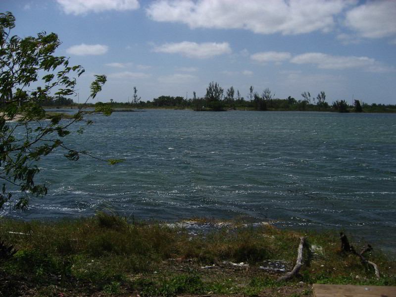 Florida-Renaissance-Festival-Quiet-Waters-Park-064