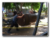 Florida-Renaissance-Festival-Quiet-Waters-Park-038