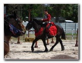 Florida-Renaissance-Festival-Quiet-Waters-Park-088