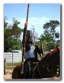 Florida-Renaissance-Festival-Quiet-Waters-Park-102