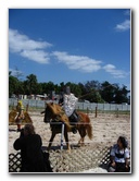 Florida-Renaissance-Festival-Quiet-Waters-Park-110