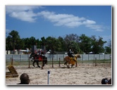 Florida-Renaissance-Festival-Quiet-Waters-Park-112