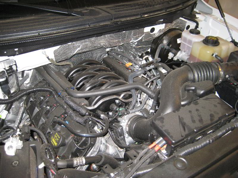 Ford f150 5.0 coyote engine #2