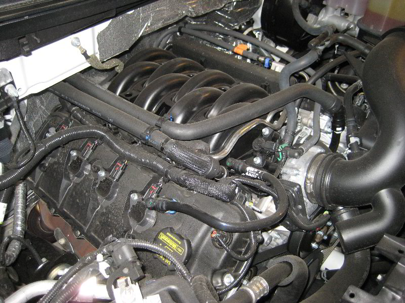 Ford f150 5.0 coyote engine #3