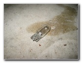 Ford-Fiesta-License-Plate-Light-Bulbs-Replacement-Guide-008