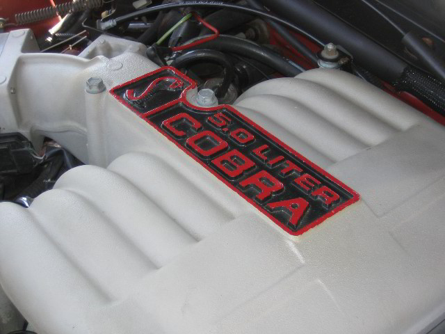 1994-Ford-Mustang-Cobra-051