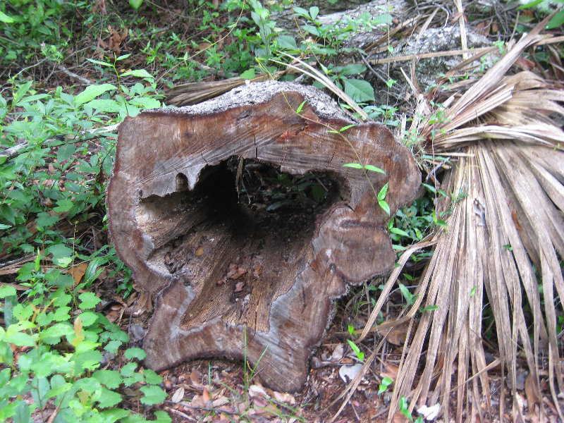 Fort-Caroline-National-Memorial-Jacksonville-Duval-County-FL-014