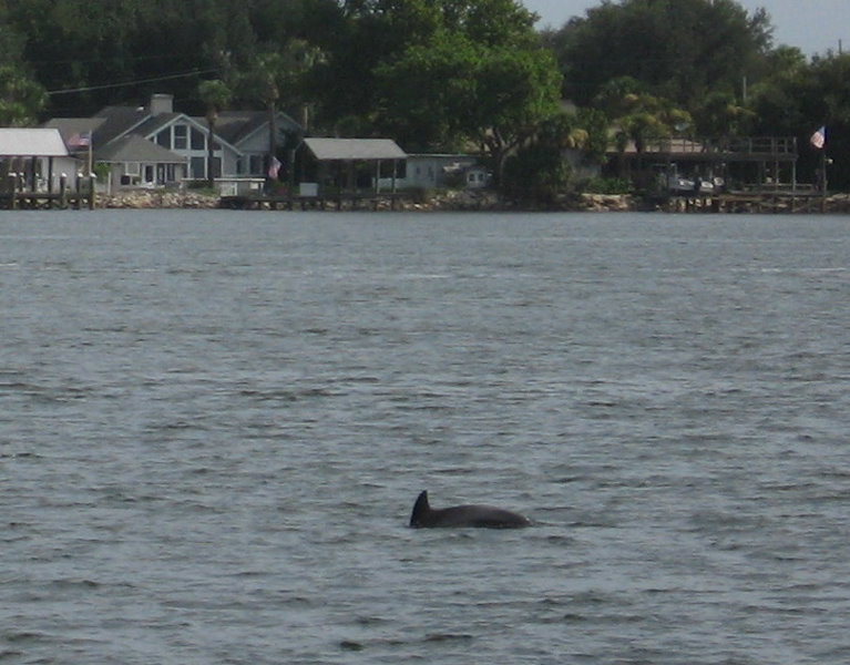Fort-Caroline-National-Memorial-Jacksonville-Duval-County-FL-034