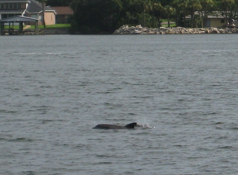 Fort-Caroline-National-Memorial-Jacksonville-Duval-County-FL-035
