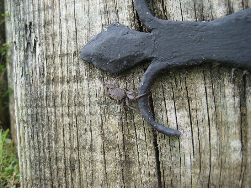 Fort-Caroline-National-Memorial-Jacksonville-Duval-County-FL-047