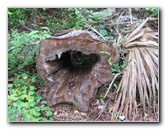 Fort-Caroline-National-Memorial-Jacksonville-Duval-County-FL-014