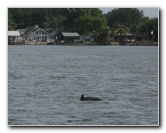 Fort-Caroline-National-Memorial-Jacksonville-Duval-County-FL-034