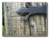 Fort-Caroline-National-Memorial-Jacksonville-Duval-County-FL-047