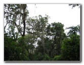 Fort-Caroline-National-Memorial-Jacksonville-Duval-County-FL-053