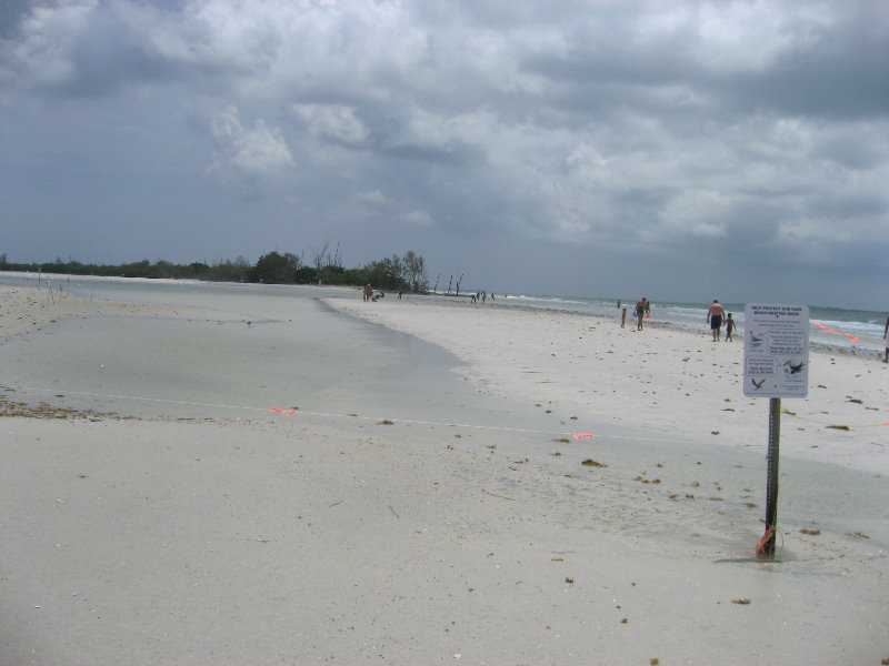 Fort-De-Soto-Park-Pinellas-County-Tampa-FL-014