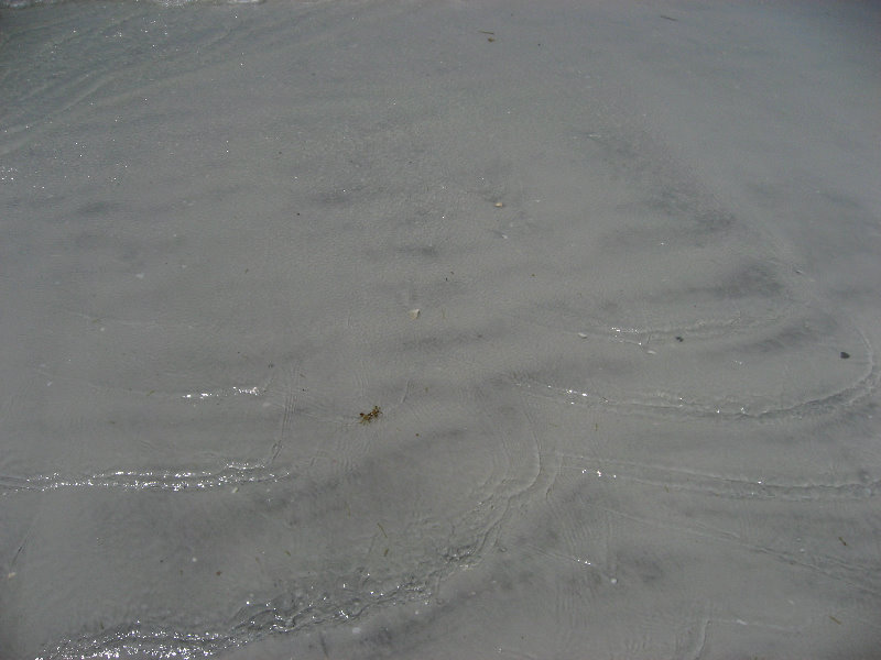 Fort-De-Soto-Park-Pinellas-County-Tampa-FL-022