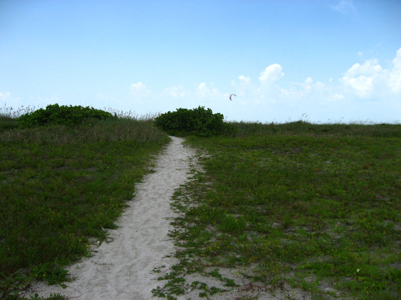 Fort-De-Soto-Park-Pinellas-County-Tampa-FL-034