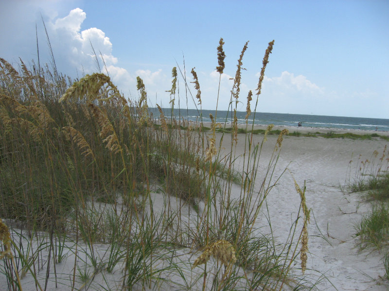 Fort-De-Soto-Park-Pinellas-County-Tampa-FL-035