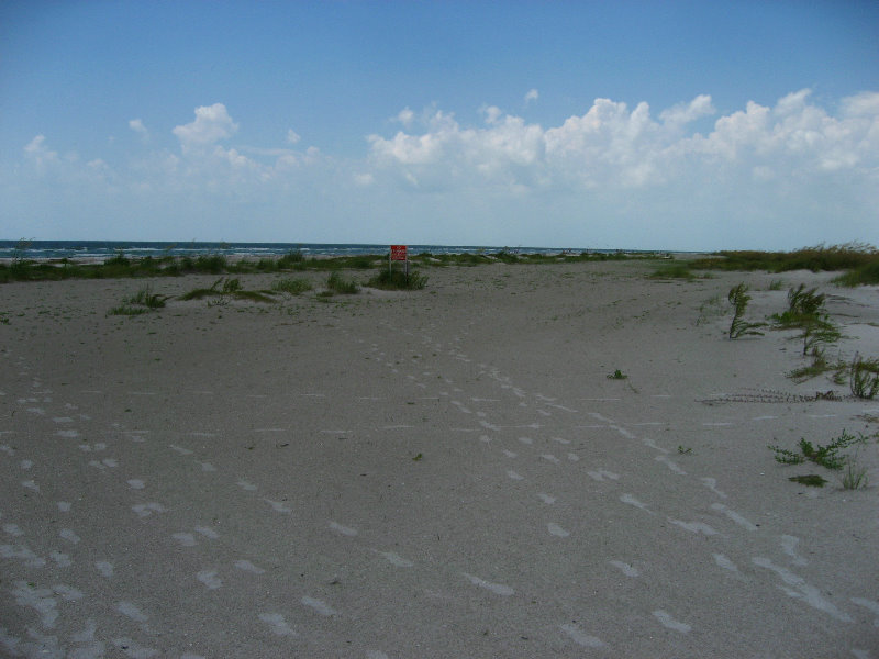 Fort-De-Soto-Park-Pinellas-County-Tampa-FL-039