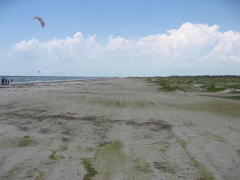 Fort-De-Soto-Park-Pinellas-County-Tampa-FL-042