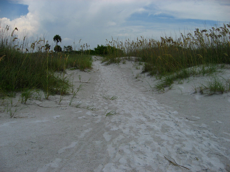 Fort-De-Soto-Park-Pinellas-County-Tampa-FL-043