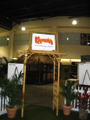 Ft-Lauderdale-Home-Show-Pictures-001