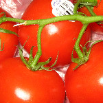 Fountains At Camino Farmer's Market - Boca Raton, FL