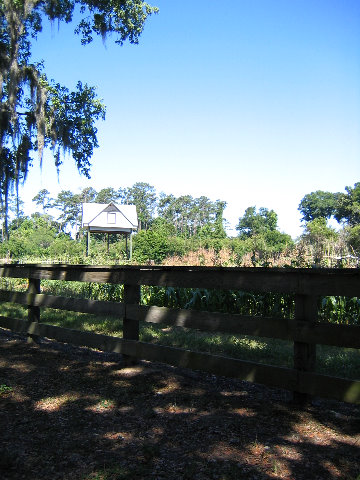 Gainesville-Bat-House-01