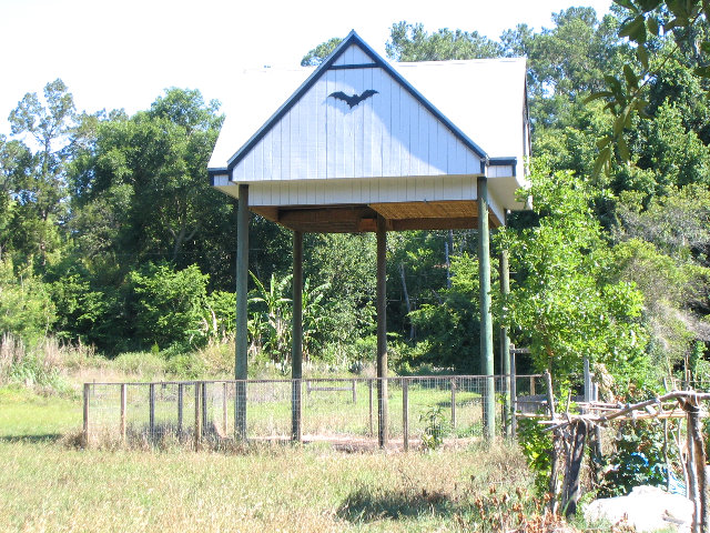 Gainesville-Bat-House-03