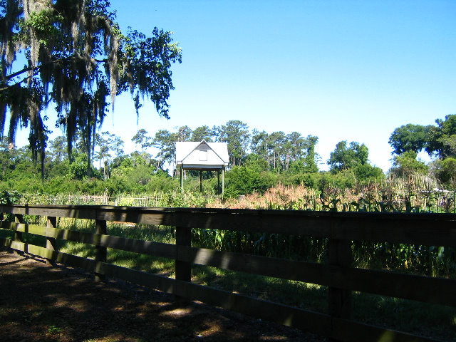 Gainesville-Bat-House-05